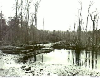 NEW IRELAND, 1945-10. SMALL STREAM AND LOW LEVEL CROSSING SURROUNDED BY DAMAGED AND FALLEN TREES. (RNZAF OFFICIAL PHOTOGRAPH.)