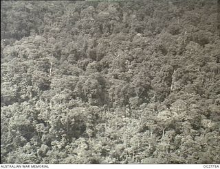 NEW GUINEA. C. 1944. AERIAL VIEW OF JUNGLE COUNTRY