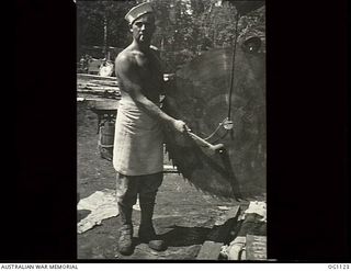 AITAPE, NORTH EAST NEW GUINEA. C. 1944-06. LEADING AIRCRAFTMAN G. PAPPIN, WARRNAMBOOL, VIC, USES A CIRCULAR SAW AS A GONG TO CALL RAAF SAWMILL WORKERS TO LUNCH