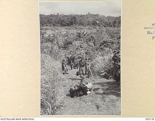 KIARIVU, NEW GUINEA, 1945-08-07. TROOPS OF 2/7 INFANTRY BATTALION MOVING UP THE BIG ROAD TO OCCUPY POSITIONS ON HIGH GROUND. THE BIG ROAD IS THE MAIN JAPANESE LINE OF COMMUNICATION BETWEEN THE ..