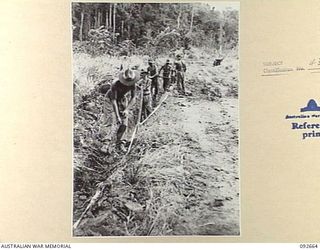 MINGA CREEK, WEWAK AREA, NEW GUINEA. 1945-05-30. LANCE CORPORAL G.V. DEAN (1), WORKING WITH OTHER MEMBERS OF 2/2 FIELD COMPANY ROYAL AUSTRALIAN ENGINEERS, ON THE DRAINAGE OF A STRETCH OF ROAD. ..
