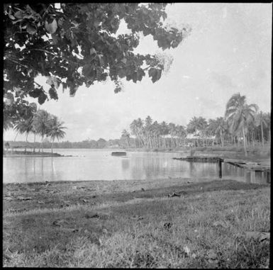 Jetty with a palm tree covered shoreline, Madang, New Guinea, ca. 1935 / Sarah Chinnery