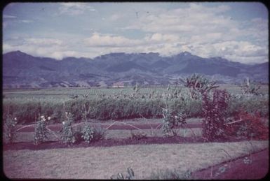 Looking across the valley from our front door : Minj Station, Wahgi Valley, Papua New Guinea, 1954 / Terence and Margaret Spencer