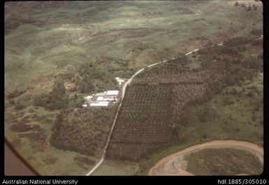 Fred Leahy's Plantation