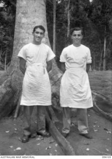 POPONDETTA, NEW GUINEA, 1945-07-02. SGT J. BAIN, WHO SUPERINTENDS NATIVE MEDICAL ORDERLIES AND SPECIALISES IN PATHOLOGY AND SURGERY (1), WITH WO 2 J. RUDGE, WHO IS IN CHARGE OF THE ANGAU NATIVE ..