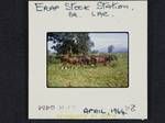 Erap Stock Station, near Lae, Apr 1964