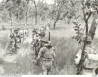 PORT MORESBY, PAPUA. 1942-07-11. AUSTRALIAN INFANTRYMEN TAKING PART IN MANOEUVRES, ADVANCING TO POSITIONS THROUGH THICK TIMBER AND LONG GRASS