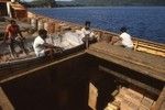 Storage area of a cash crop ship