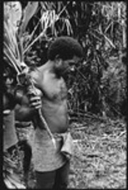 Maenaa'adi with cordyline plant