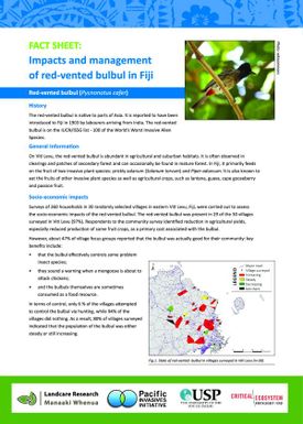 Impacts and management of the red-vented bulbul in Fiji