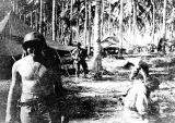 Herb Mack in jungle, Guadalcanal, 1940s