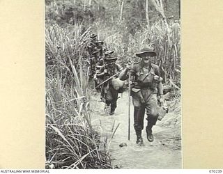 FARIA VALLEY, NEW GUINEA. 1944-02-09. SX650 CAPTAIN A.C. BRAY (1), OF "B" COMPANY, 2/10TH INFANTRY BATTALION, LEADING MEN THROUGH KUNAI GRASS AT IRIE BETWEEN KANKIRYO AND GUY'S POST