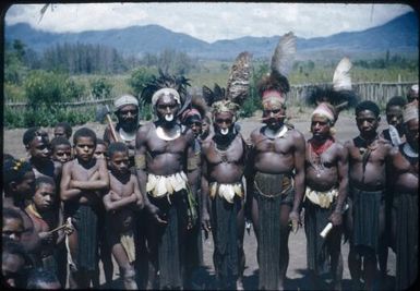 Taken on patrol: typical scene of Aviamp men and children : Wahgi Valley, Papua New Guinea, 1954-1955 / Terence and Margaret Spencer