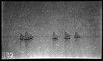 Group of Kiribati sailing canoes