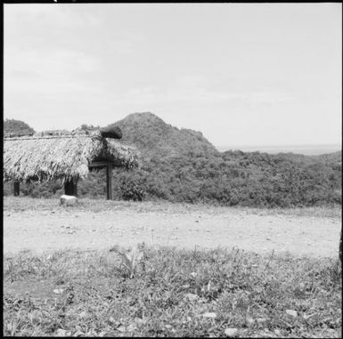 Navua region, Fiji, 1966 / Michael Terry