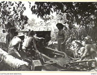 KALILUP, NEW BRITAIN. 1945-02-07. GUNNERS OF C TROOP, 2/14TH FIELD REGIMENT, IN POSITION AND READY TO COMMENCE FIRING THEIR 25 POUNDER GUNS. IDENTIFIED PERSONNEL ARE:- VX55036 GUNNER W.S. JOHNSON ..