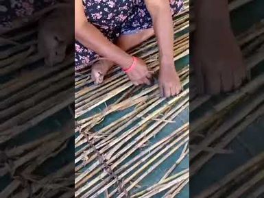 WEAVING FIJIAN FISH TRAP MADE OF REEDS WITH MARIA ROKODUGU, NAMELIMELI VILLAGE, VEIVATULOA, NAMOSI