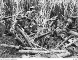 WEWAK AREA, NEW GUINEA, 1945-07-14. SAPPERS OF 2/14 FIELD COMPANY, ROYAL AUSTRALIAN ENGINEERS, ATTACHED 2/8 INFANTRY BATTALION, VIEW THE RESULTS OF THEIR WORK. A JAPANESE BUNKER NEAR THE SUMMIT OF ..