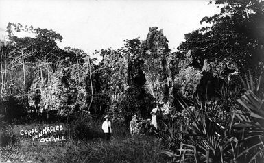 Coral pinnacles at Banaba, Kiribati