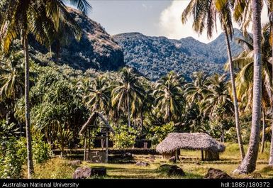 Tahiti - Marae (temple) Arahurahu, Paea