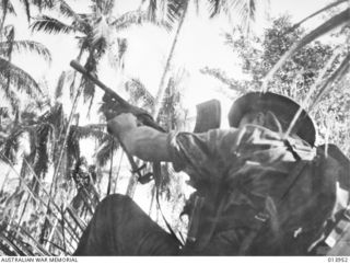 1942-12-28. PAPUA. BY EXPERIENCE ALLIED TROOPS HAVE LEARNED TO TAKE NO CHANCES WITH ENEMY TREE TOP SNIPERS. EVERY TREE TOP THAT COULD HOUSE SNIPERS WAS SPRAYED WITH HUNDRED OF ROUNDS FROM AUTOMATIC ..