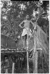 Boy on the platform