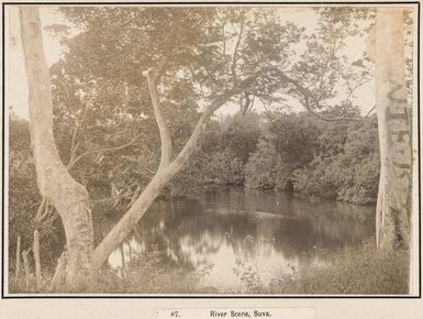 Rewa River, Fiji, 1903