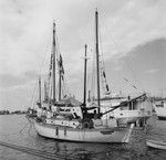 Tahitian harbor scene