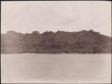 The coast of Maewo at Lotora, New Hebrides, 1906 / J.W. Beattie