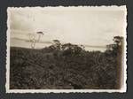 View of landscape with lake and mountains in background, New Zealand?