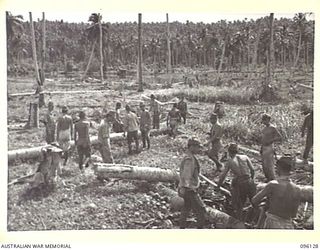 MUSCHU ISLAND, NEW GUINEA. 1945-09-11. JAPANESE SOLDIERS CLEARING AREA FOR THE CONSTRUCTION OF HOSPITAL BUILDINGS AND BARRACKS. THE ISLAND SURRENDERED BY REAR-ADMIRAL SATO TO MAJOR GENERAL ..