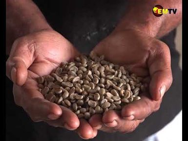 WOMEN COFFEE ASSOCIATION