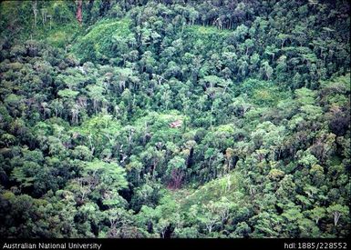 Aerial view of the landscape surrounding Bulong longhouse and the resurgence of the north branch of the Liddle (Dogomo/ Tokomo) River, in the middle section of Febi territory