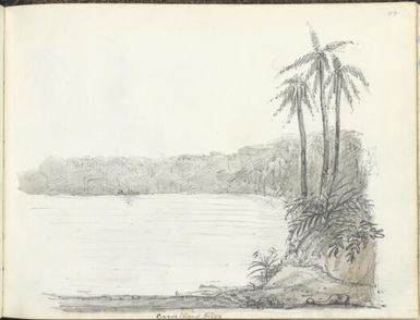 Coral Island, South Sea [J.H. Goldfinch]