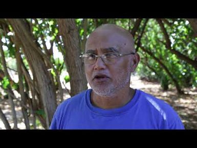 Hawaiʻi Residents Were Asked: Can There Be Too Much Tourism?