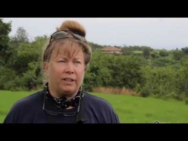 PBS Hawai‘i - HIKI NŌ Episode 718 | Chiefess Kamakahelei Middle School | K-9 Search and Rescue