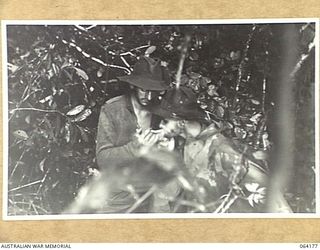 CANNING'S SADDLE, NEW GUINEA. 1944-01-21. TROOPS OF THE 2/12TH INFANTRY BATTALION SHELTERING FROM THE ENEMY IN THICK JUNGLE PAUSE FOR A WELL EARNED SMOKE