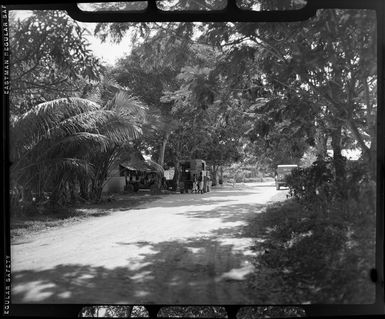 Military vehicles parked on a tree-lined dirt road, Madang, Papua New Guinea