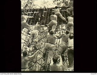 TOROKINA, BOUGAINVILLE ISLAND, SOLOMON ISLANDS. C. 1945-02-23. RAAF GUARDS DURING JUNGLE TRAINING IN THE TOROKINA AREA CLIMBING A LANDING NET AS PART OF THE TOUGHENING PROCESS