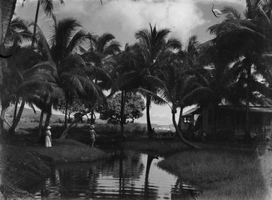 [Two people on riverbank in Pacific Island location]