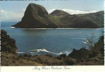 Postcard