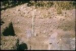 Vaiohu'a archaeological excavation, Moorea: southeast quadrant, south wall