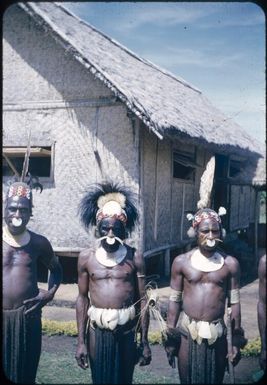 Some of our visitors, natives waiting outside European medical assistant's home : Minj Station, Wahgi Valley, Papua New Guinea, 1954 / Terence and Margaret Spencer