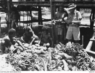 BIAMU, ORO BAY, NEW GUINEA. 1942-11-11. PX123 CAPTAIN T. GRAHAMSLAW, DISTRICT OFFICER FOR THE BUNA AREA, ACCEPTING FRUIT AND VEGETABLES FROM NATIVES OF THE SURROUNDING AREA AT BIAMU VILLAGE