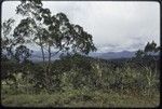 Mountains of Central Province, near Port Moresby