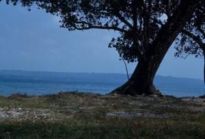 [Scenic view on Espiritu Santo, Vanuatu]