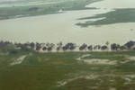 Aerial view of Sepik River, Angoram area, village on stilts at water edge