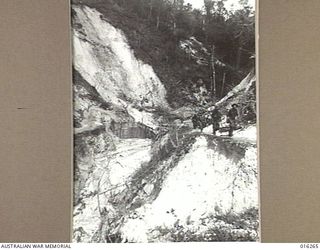 NEW GUINEA. 13 DECEMBER 1943. A.I.F. OFFICERS CLIMBING THE LAST STEEP PINCH OF SATTELBERG ROAD JUST PRIOR TO REACHING THE SUMMIT. THEY ARE ON TOUR OF INSPECTION TWO DAYS FOLLOWING THE FALL OF THE ..