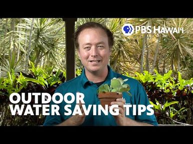 Outdoor Water Saving Tips with Steven Norstrom | PBS HAWAIʻI