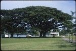 Buildings, Makira